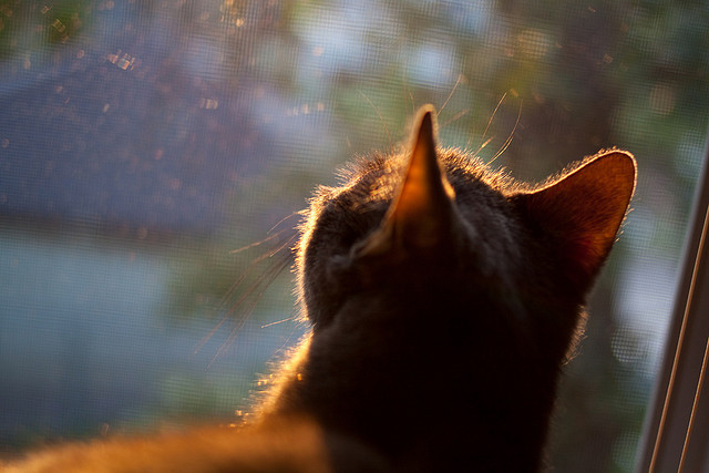 开云体育-_极限水上漂移：激浪中的速度狂欢_，水上漂移秘籍