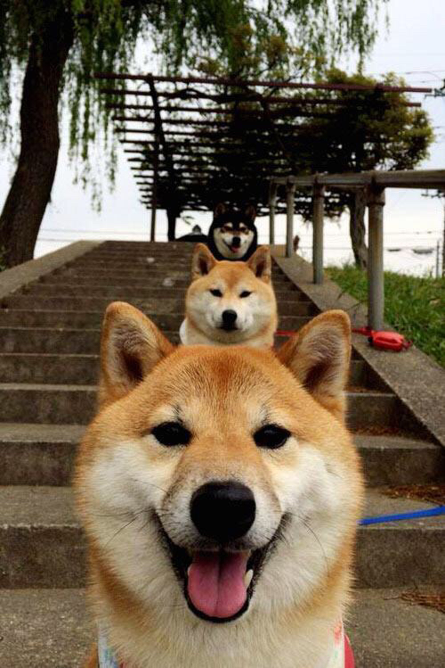 开云综合服务-_海外巡回赛揭秘：不同国家的当地特色赛事_，海外巡演