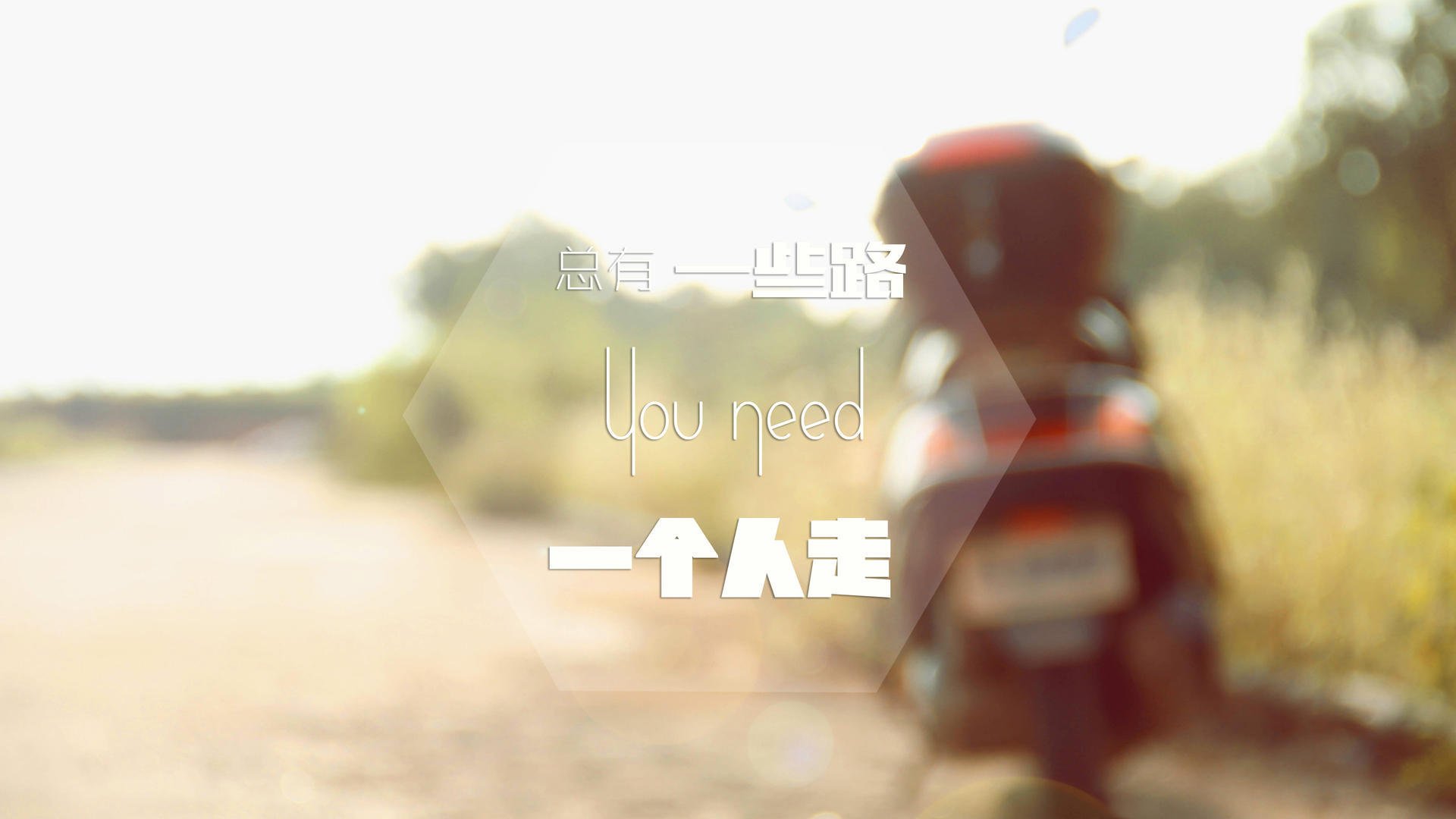 开云·体育官网-伊朗马术协会推出马匹健康管理系统,提升马匹福利。,伊朗 马赛克