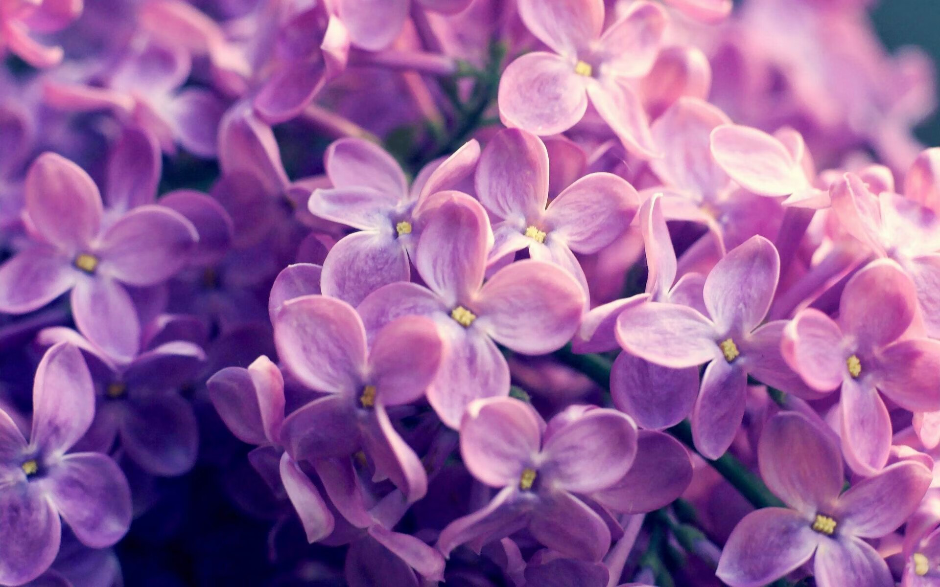 开云官网首页-广场舞促进城乡文化交流，广场舞与社区文化建设调查